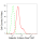 KD-Validated GAL3 Rabbit mAb (20 μl)