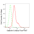 KD-Validated GAL3 Rabbit mAb (20 μl)