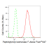KD-Validated PPIF Rabbit mAb (20 μl)