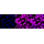 KD-Validated PPIF Rabbit mAb (20 μl)