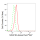 KD-Validated NDUFS3 Rabbit mAb (20 μl)