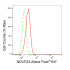 KD-Validated NDUFS3 Rabbit mAb (20 μl)