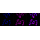 KD-Validated NDUFS3 Rabbit mAb (20 μl)