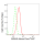 KD-Validated MRAS Rabbit mAb (20 μl)
