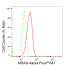 KD-Validated MRAS Rabbit mAb (20 μl)