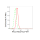 KD-Validated RAC3 Rabbit mAb (20 μl)