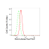 KD-Validated RAC3 Rabbit mAb (20 μl)