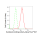 KD-Validated SDCBP Rabbit mAb (20 μl)