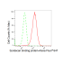 KD-Validated SDCBP Rabbit mAb (20 μl)