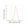 KD-Validated NME1 Rabbit mAb (20 μl)
