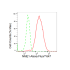 KD-Validated NME1 Rabbit mAb (20 μl)