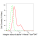 KD-Validated ITGAV Rabbit mAb (20 μl)