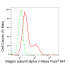 KD-Validated ITGAV Rabbit mAb (20 μl)