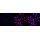 KD-Validated JAK1 Rabbit mAb (20 μl)