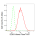 KD-Validated DDB1 Rabbit mAb (20 μl)