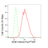 KD-Validated DDB1 Rabbit mAb (20 μl)
