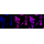 KD-Validated RAD51 Rabbit mAb (20 μl)