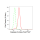 KD-Validated CASP3 Rabbit mAb (20 μl)
