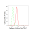 KD-Validated CASP3 Rabbit mAb (20 μl)