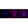 KD-Validated CASP3 Rabbit mAb (20 μl)