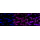KD-Validated MDH2 Rabbit mAb (20 μl)