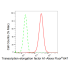 KD-Validated TCEA1 Rabbit mAb (20 μl)