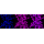 KD-Validated TCEA1 Rabbit mAb (20 μl)