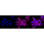 KD-Validated CDC42 Rabbit mAb (20 μl)