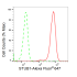 KD-Validated STUB1 Rabbit mAb (20 μl)