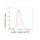 KD-Validated K7 Rabbit mAb (20 μl)