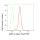 KD-Validated AdSS 2 Rabbit mAb (20 μl)