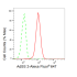 KD-Validated AdSS 2 Rabbit mAb (20 μl)