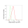 KD-Validated DDB2 Rabbit mAb (20 μl)