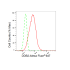KD-Validated DDB2 Rabbit mAb (20 μl)