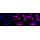 KD-Validated DDB2 Rabbit mAb (20 μl)