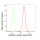 KD-Validated MAP2K1 Rabbit mAb (20 μl)