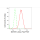 KD-Validated MAP2K1 Rabbit mAb (20 μl)