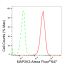 KD-Validated MAP2K3 Rabbit mAb (20 μl)