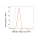 KD-Validated MAP3K7 Rabbit mAb (20 μl)