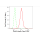 KD-Validated PAK2 Rabbit mAb (20 μl)