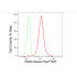 KD-Validated PAK2 Rabbit mAb (20 μl)
