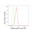 KD-Validated PXN Rabbit mAb (20 μl)