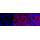 KD-Validated PXN Rabbit mAb (20 μl)