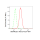 KD-Validated SMARCE1 Rabbit mAb (20 μl)