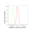 KD-Validated SMARCE1 Rabbit mAb (20 μl)