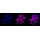 KD-Validated SMARCE1 Rabbit mAb (20 μl)