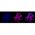 KD-Validated SMARCE1 Rabbit mAb (20 μl)