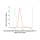 KD-Validated CHD-4 Rabbit mAb (20 μl)
