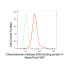 KD-Validated CHD-4 Rabbit mAb (20 μl)
