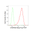 KD-Validated CHMP2B Rabbit mAb (20 μl)